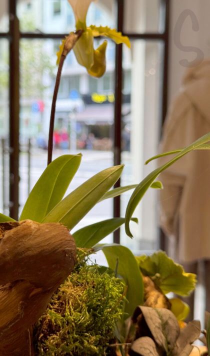 Eingangsbereich Geschäft Skoruppa in Leipzig